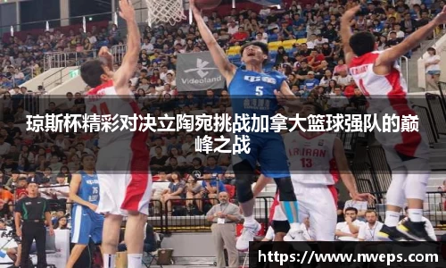 333体育